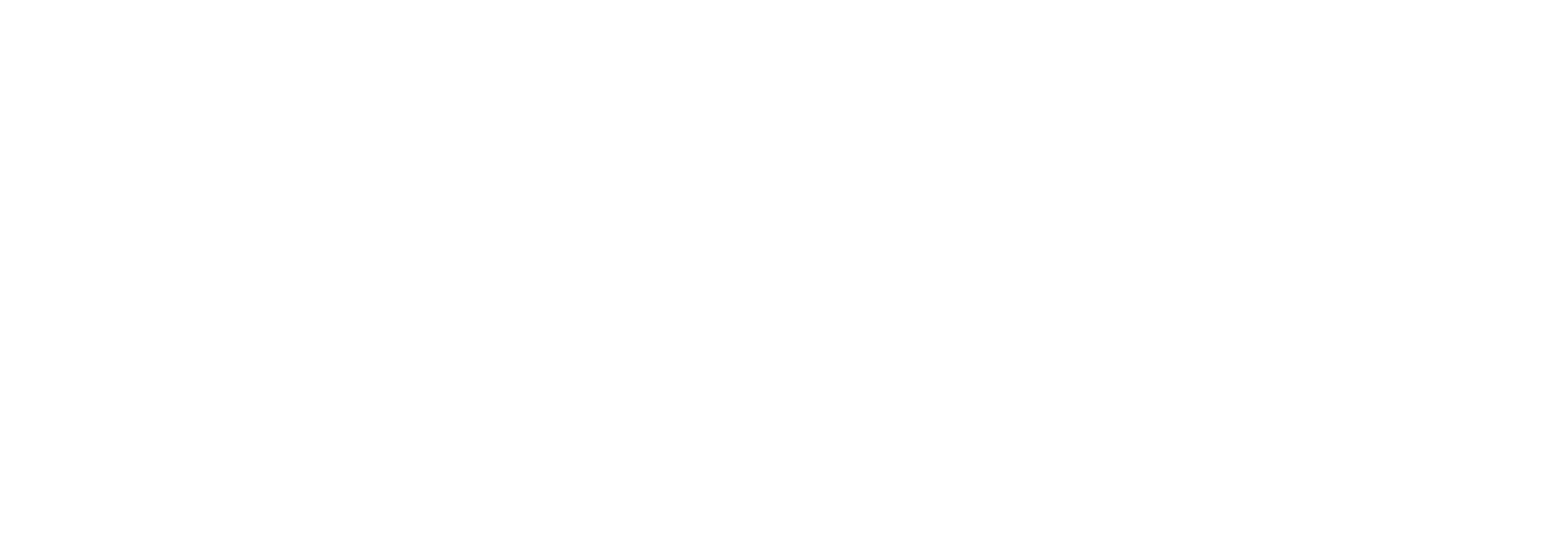 1st Discount Brokerage