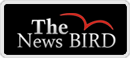 news.thenewsbird.com
